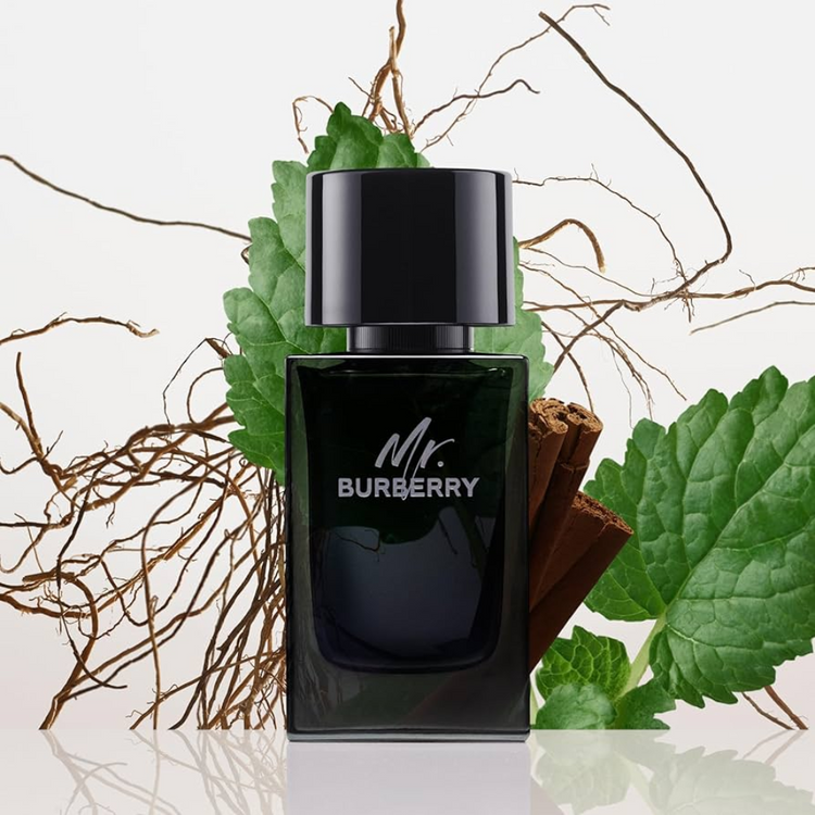 Mr. Burberry EDP