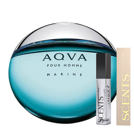 Aqva Pour Homme Marine