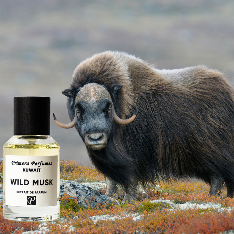 Wild Musk