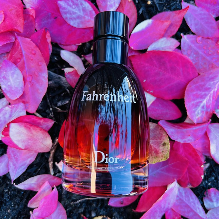 Fahrenheit Parfum