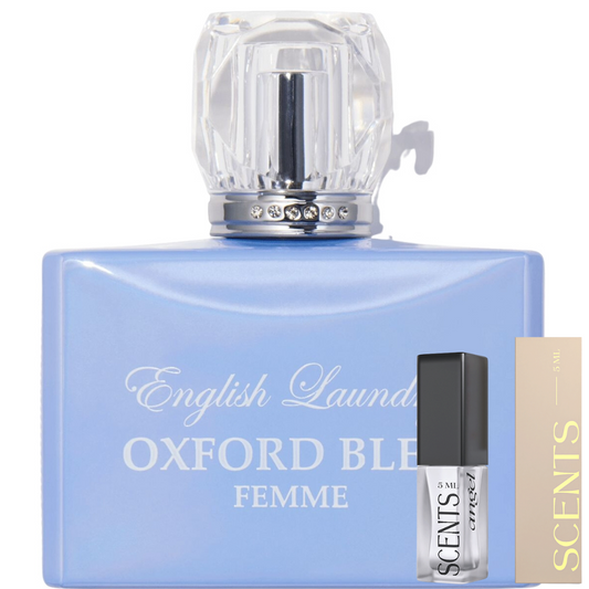 Oxford Bleu Femme